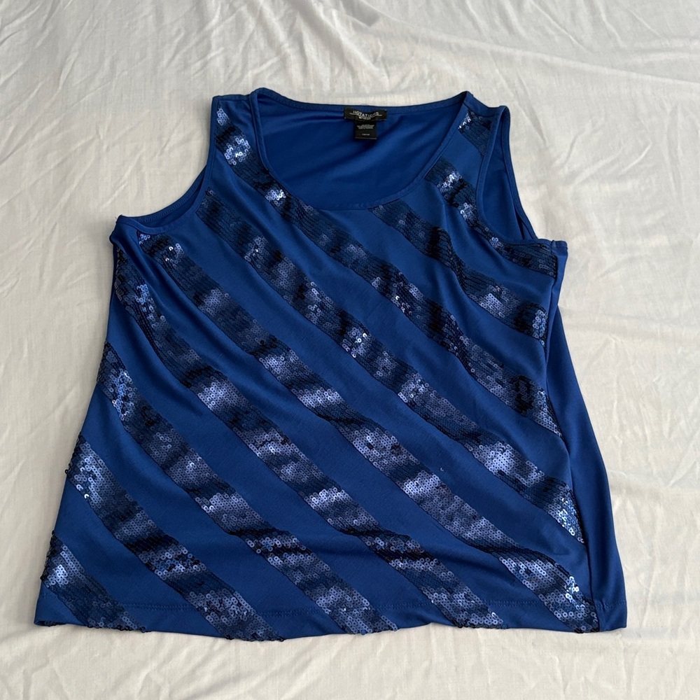 Blue Sequin Striped Women's Top Notations